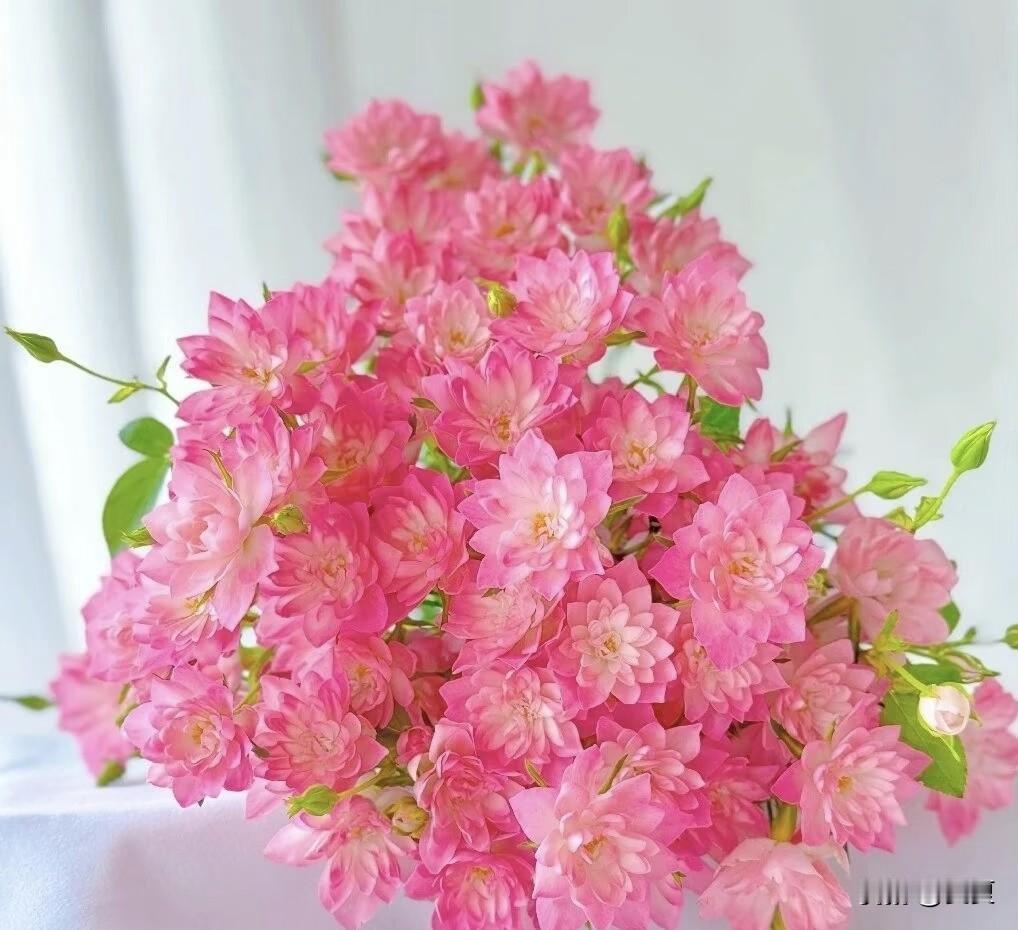 人生最大的意义是让自己快乐，所以不要太敏感太较真，不要给自己太大压力，不要