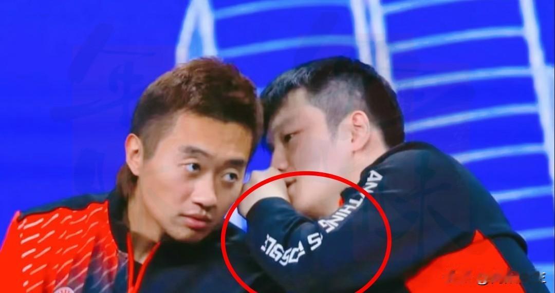 赵子豪直播里说，樊振东格局真的特别大。作为队友，他最清楚樊振东的为人，就