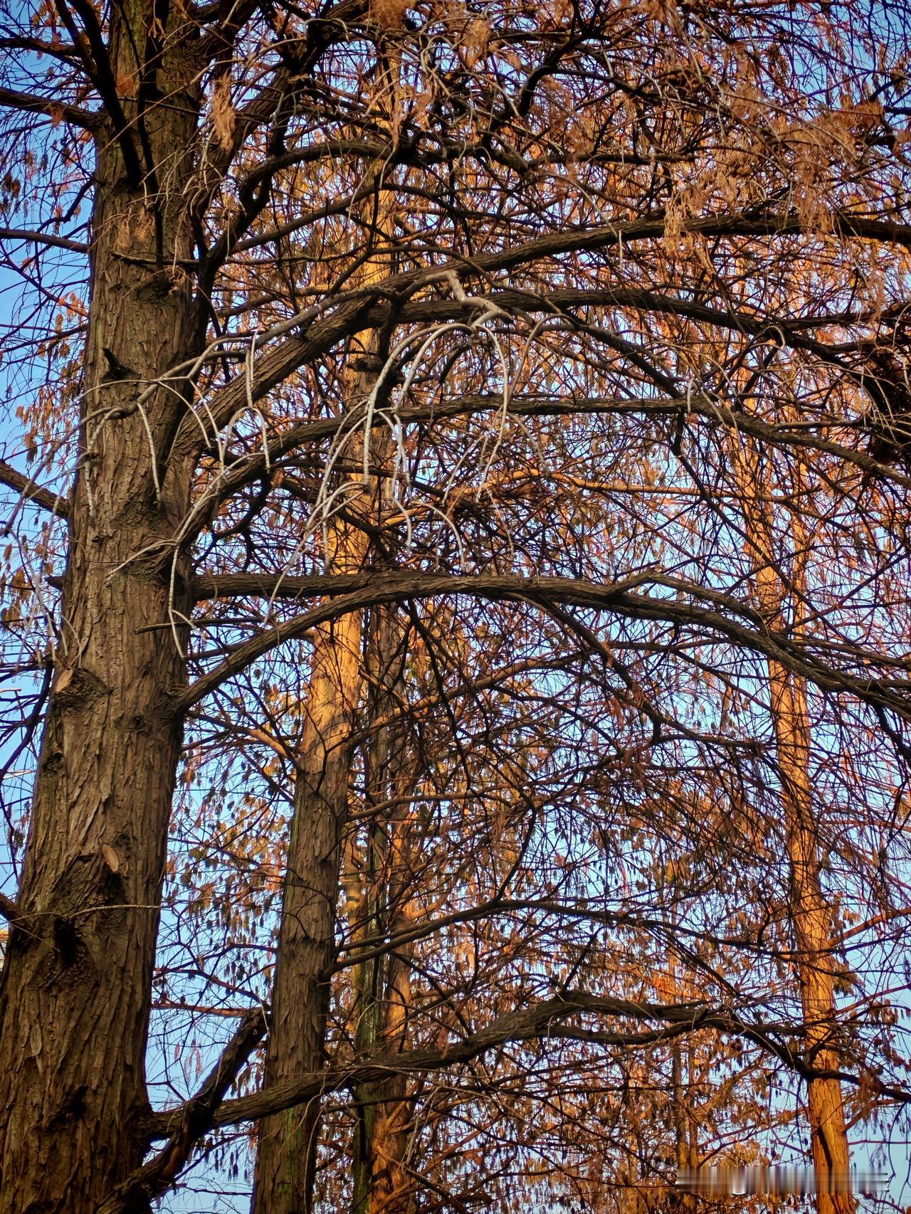 56岁那天，我终于承认：我的不快乐，全是因为钱前几天，我做了一件特别心酸的