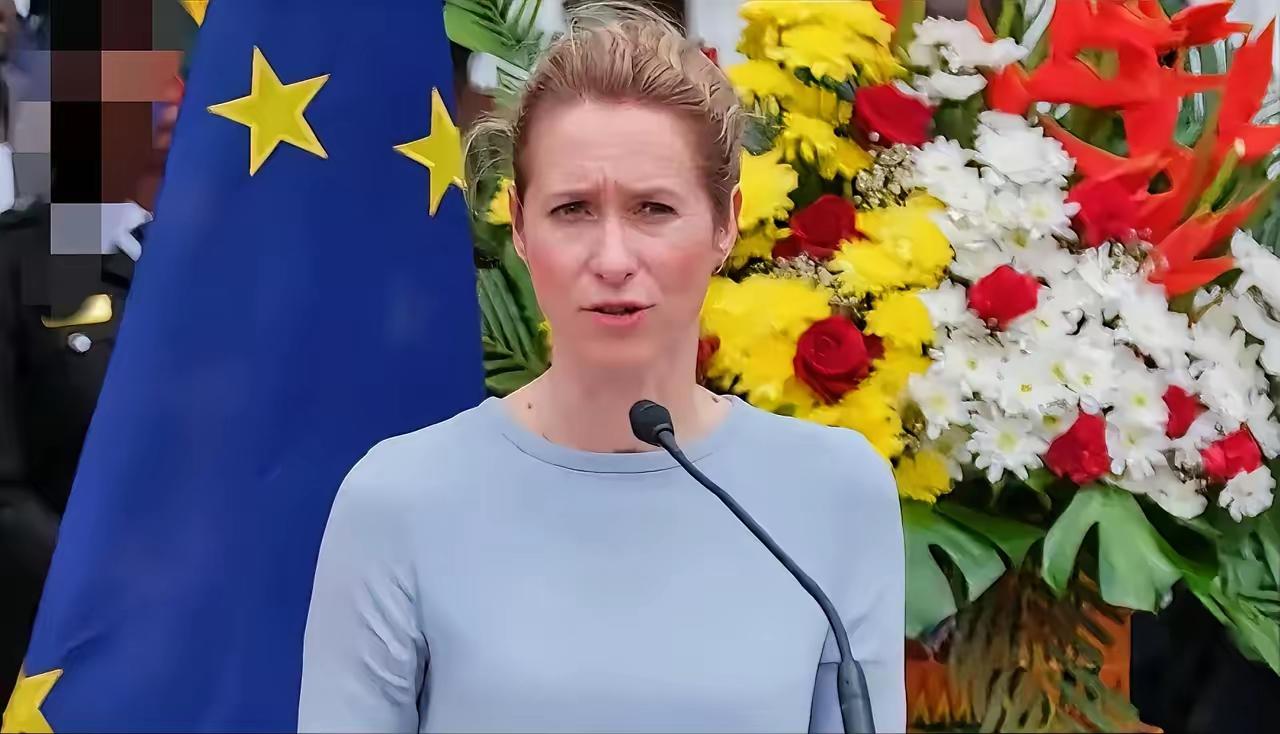 当地时间4月28日，欧盟外长卡娅·卡拉斯公开敦促东南亚伙伴国，在应对中东冲突引发