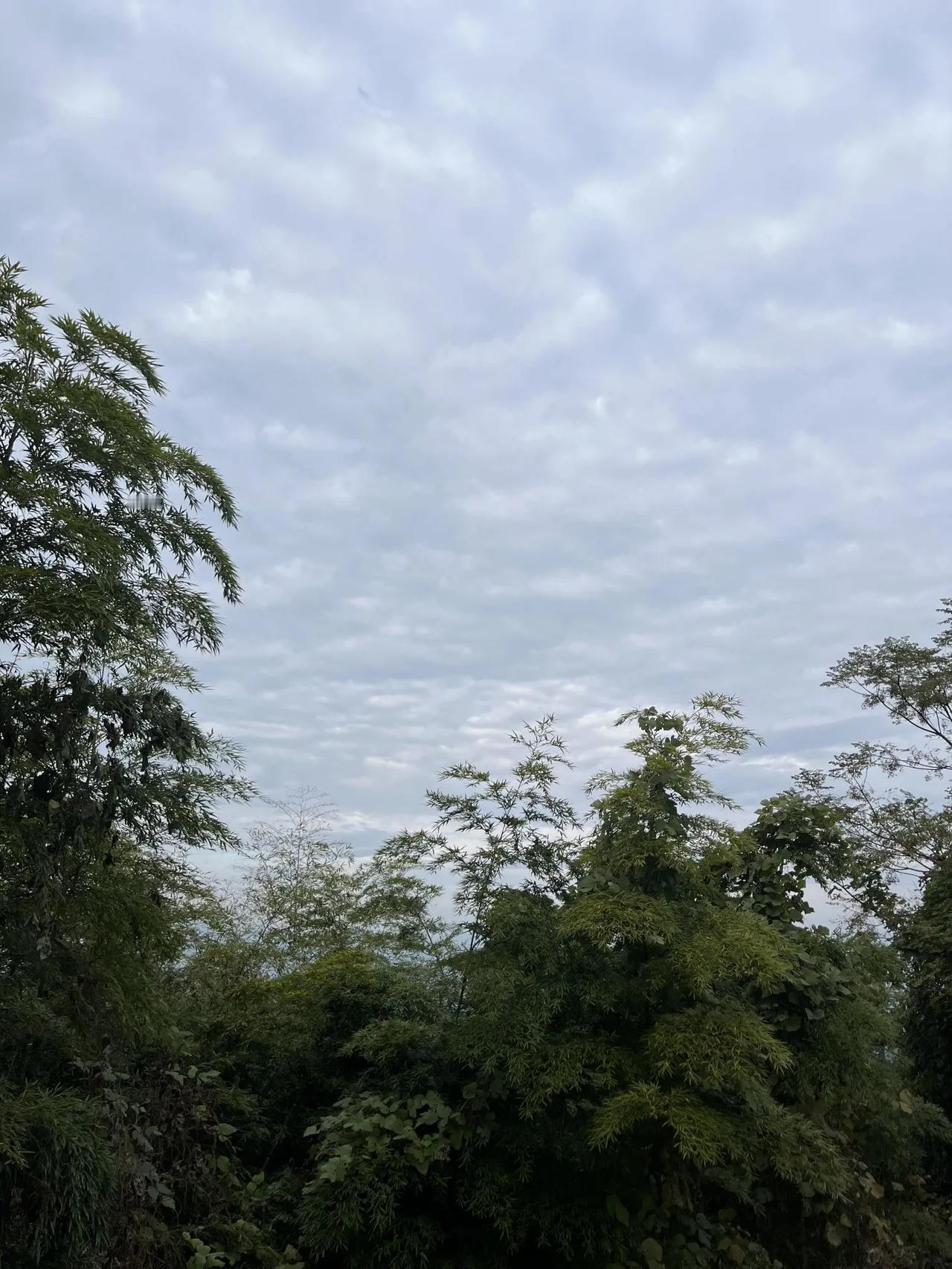 晚上我在打麻将，老公在另一桌斗地主，（打钱的多大我不知道）我听他说后面看牌的人不