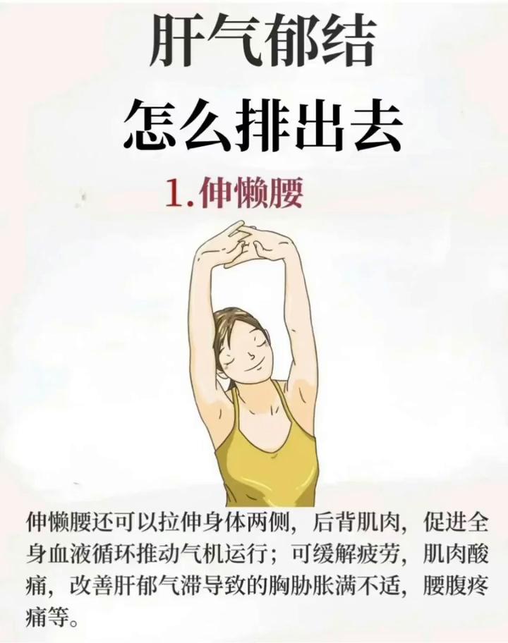 肝气郁结怎么排出去？·伸懒腰还可以拉伸身体两侧、后背肌肉，促进全身血液循环推动