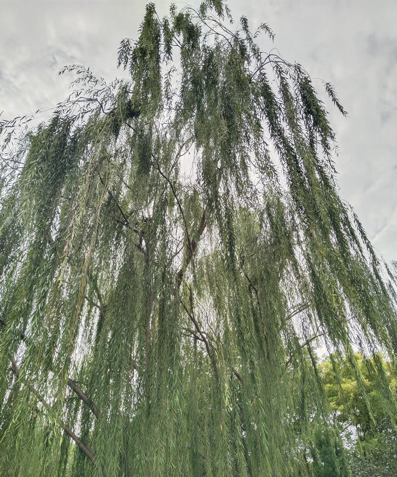 能让人释怀的话能让人闭嘴的从来不是道理而是你的身份不纠结过往的遗憾
