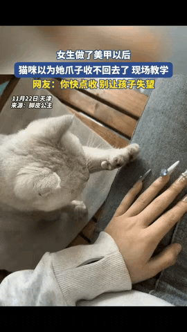 “太有灵性了！”一女生做了美甲回家，猫咪看到后竟以为她爪子收不回去了，直接现场教