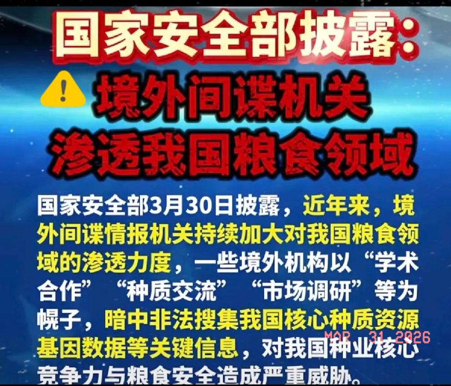⚠️真不是吓唬人！境外间谍真盯上咱们的粮食安全了！国安3月30日刚通报，