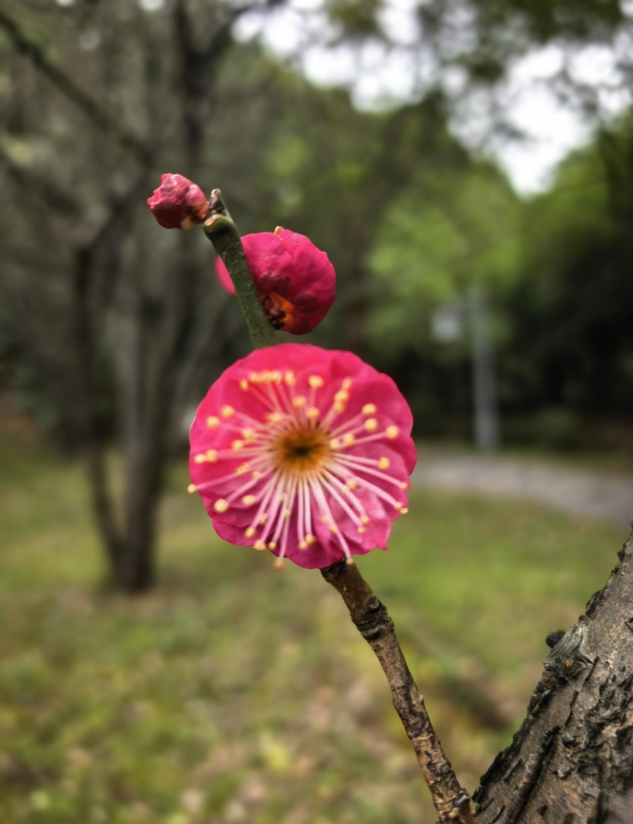 一根阴线砸穿5000，不是回调，是恐吓。早上5400追进去的人，现在账户一片惨