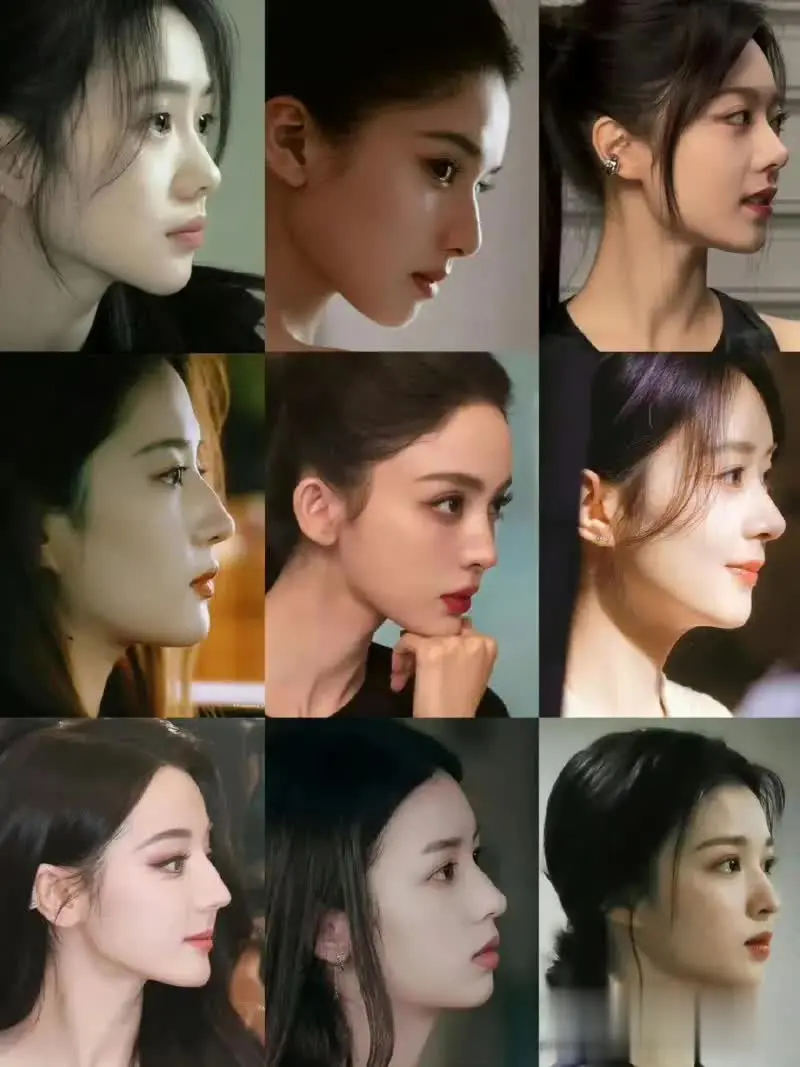 九个内娱女星，谁的侧颜更好看？