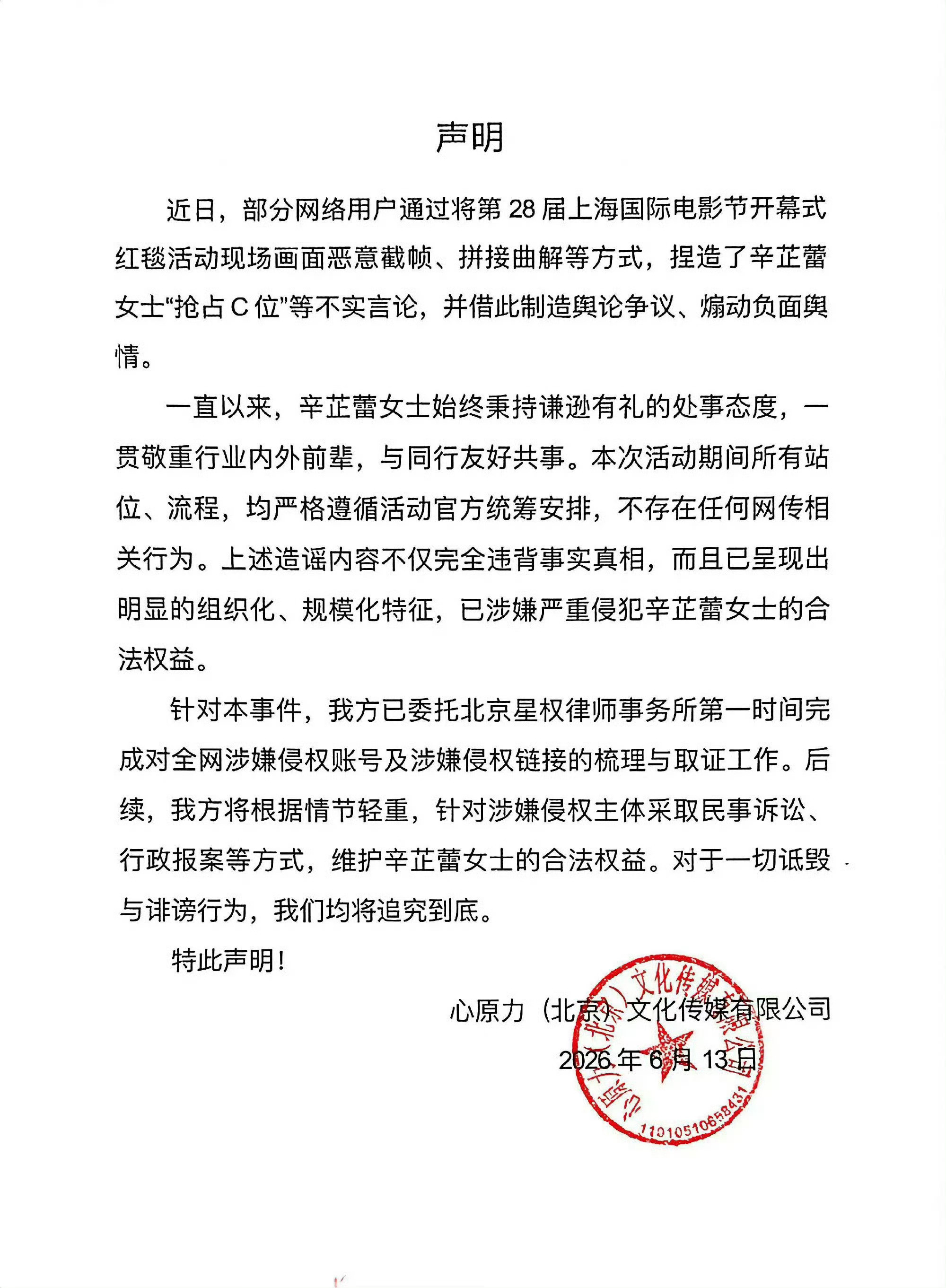 想看看大家怎么评价辛芷蕾？