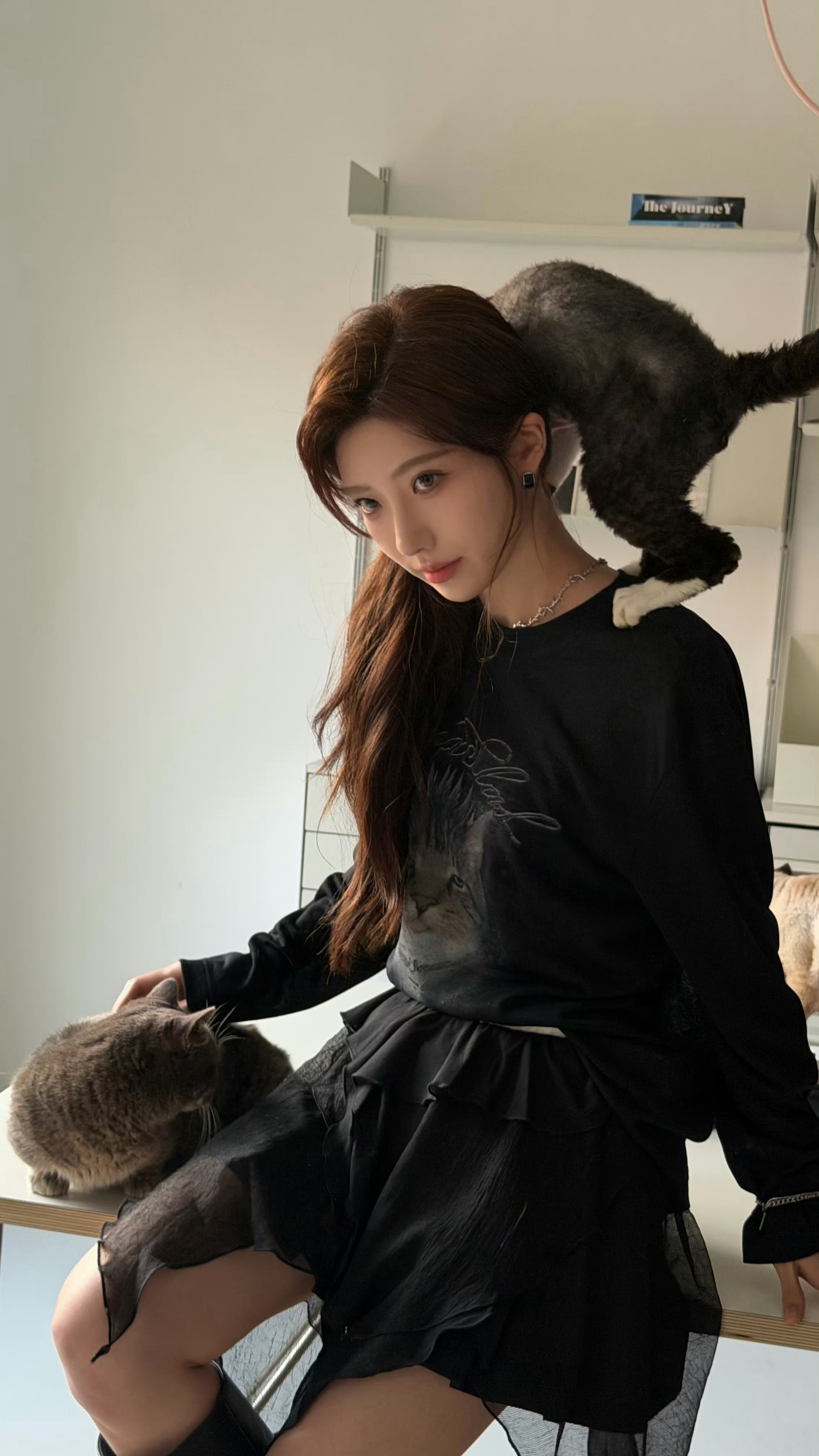 想你的耶不再依赖姐姐算长大吗