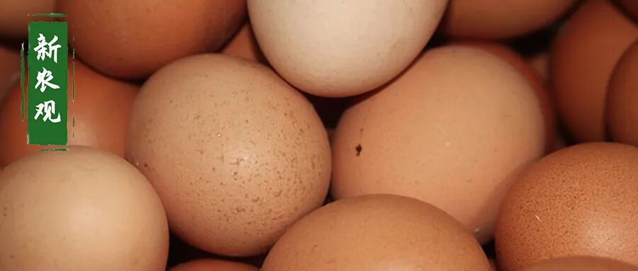 鸡蛋突然看涨? 鸡蛋的麻烦恐怕比生猪还大!