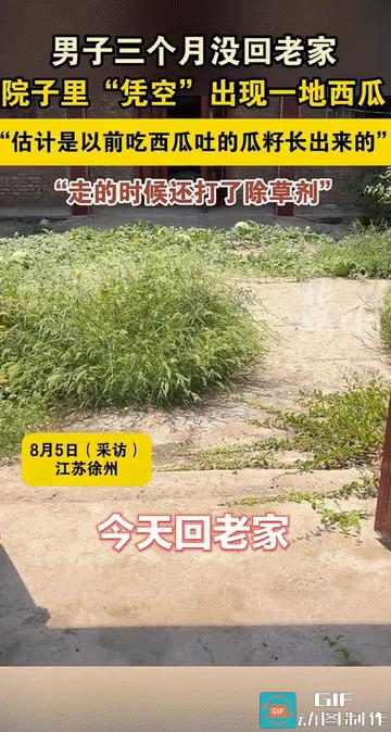 “无心插柳柳成荫!”江苏徐州，男子离家三个月，中途一直没回去过，谁知此次回家，刚
