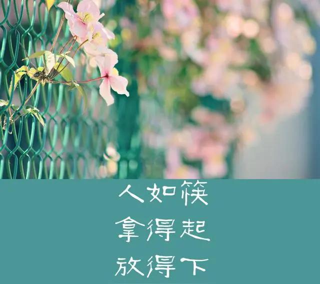 人活一世，钱情皆过客，心安即是归处。这句话看似平淡，却道尽了人生最通透的真相。我