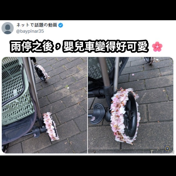 自带飘移轨迹🌸meme