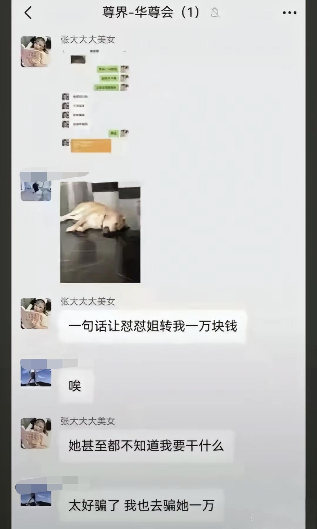 感觉“张大大大美女”越来越被动了，被怼怼姐公开喊话要验牌之后，简直被鸿蒙智行的一