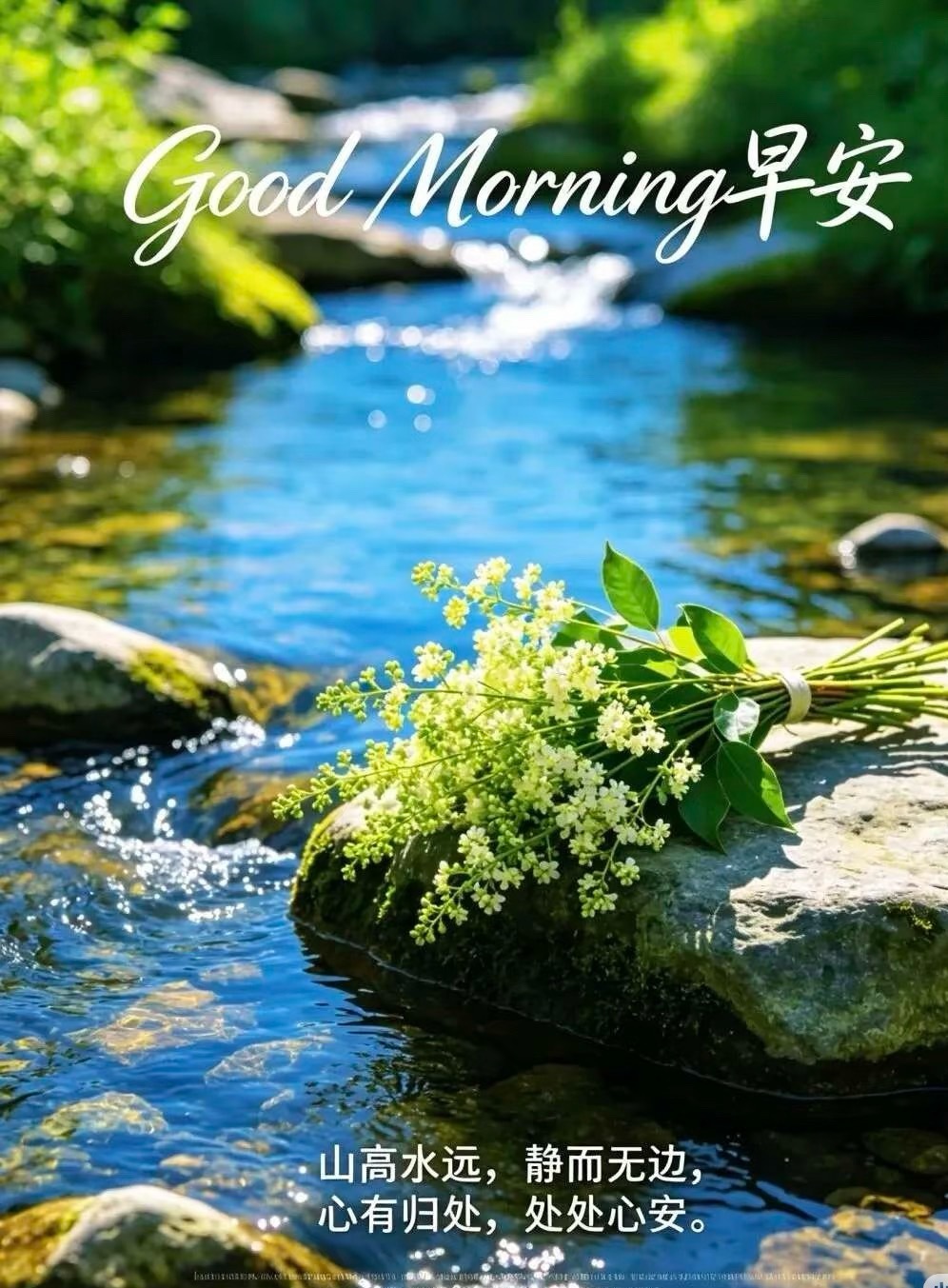 𝙈𝙤𝙧𝙣𝙞𝙣𝙜˗ˋˏ🌷ˎˊ˗风有风的自由，你有你的方向。不必羡