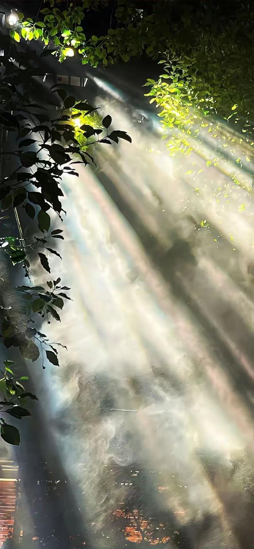 手机壁纸～在光影与色彩的碰撞里，拼凑出一帧帧关于东方与现代、温柔与力量的视觉诗行