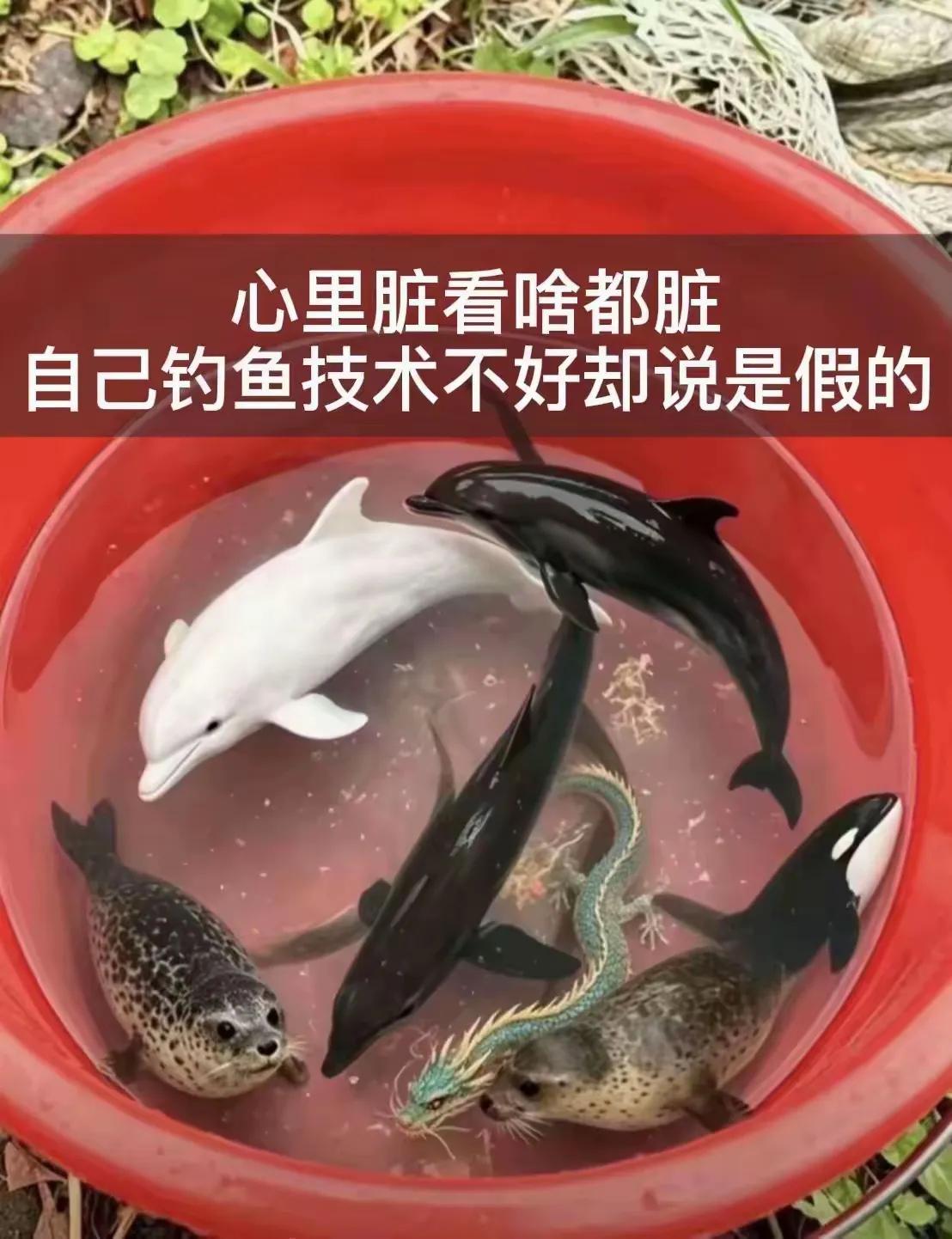 果然心里脏，看啥都脏。就是自己的钓鱼技术不行，看到别人钓的好的上来，就说是假的