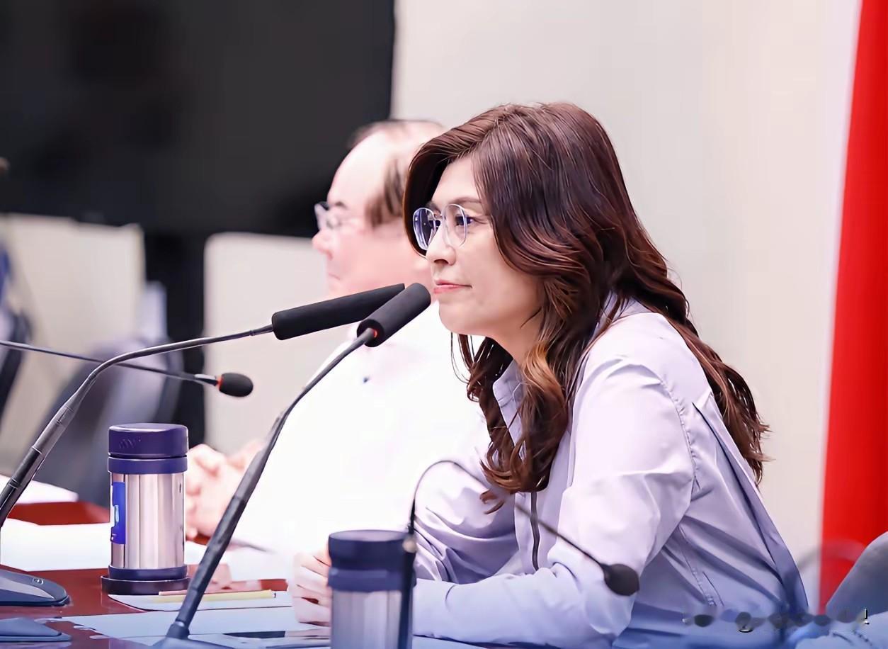 说真的台湾国民党主席郑丽文，如果县市长大选彰化输了，甚至新北输了都没有责任下台，