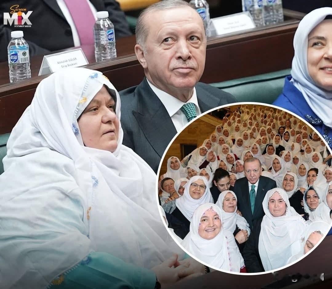 这是一个发生在2026年2月的真实政治事件，被嘲讽的官员是ZeynepG