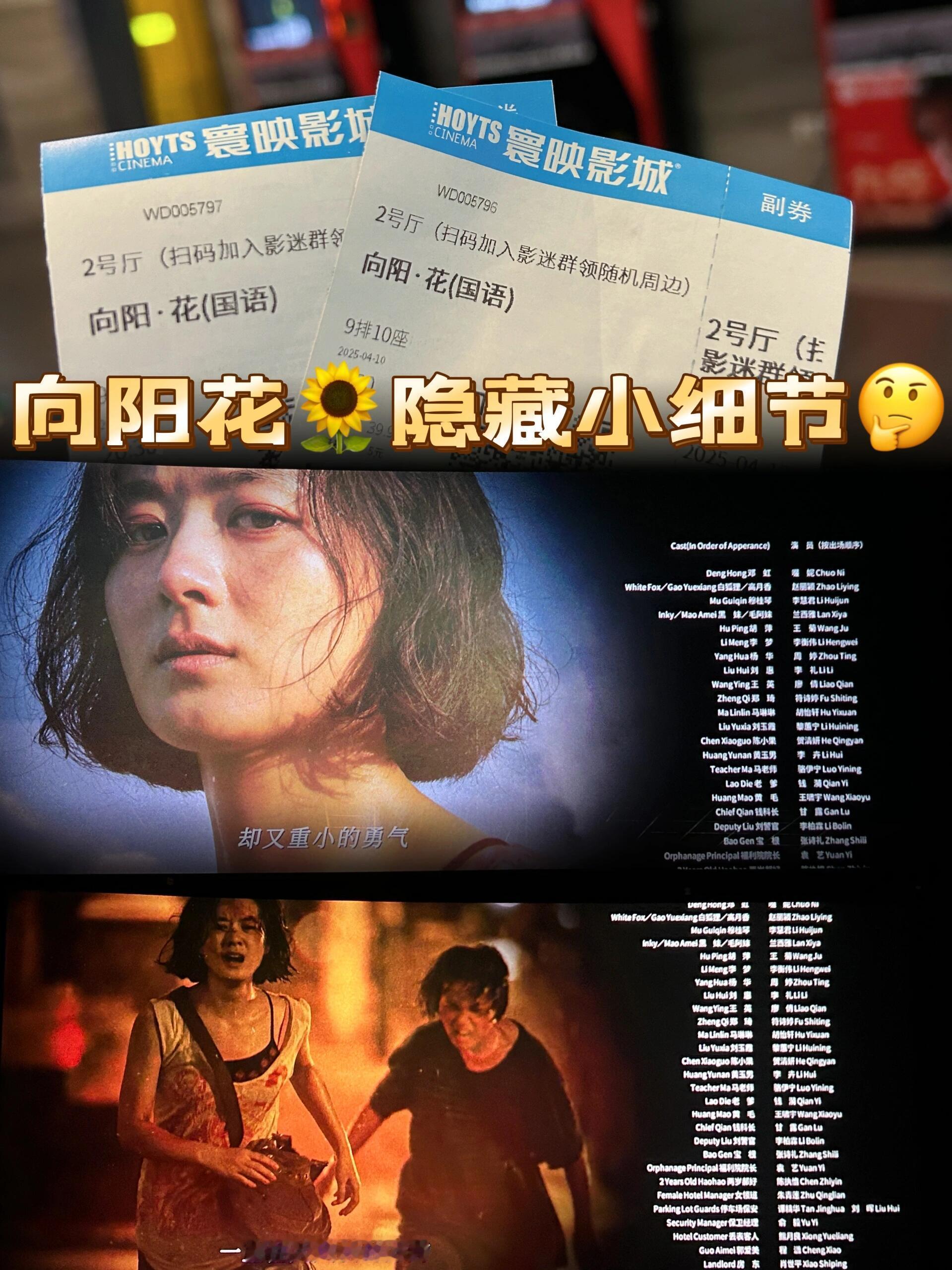深度剖析《向阳·花》爆火背后的细节！《向阳·花》上映不到一周票房就破亿，还拿下了