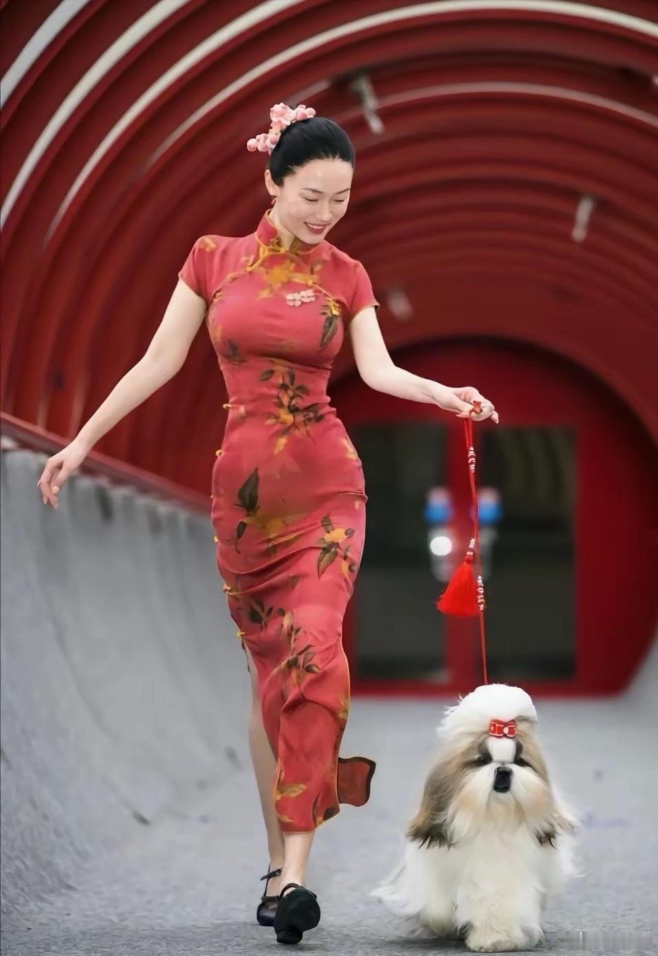 霍思燕是不是只要携狗参赛必穿旗袍！