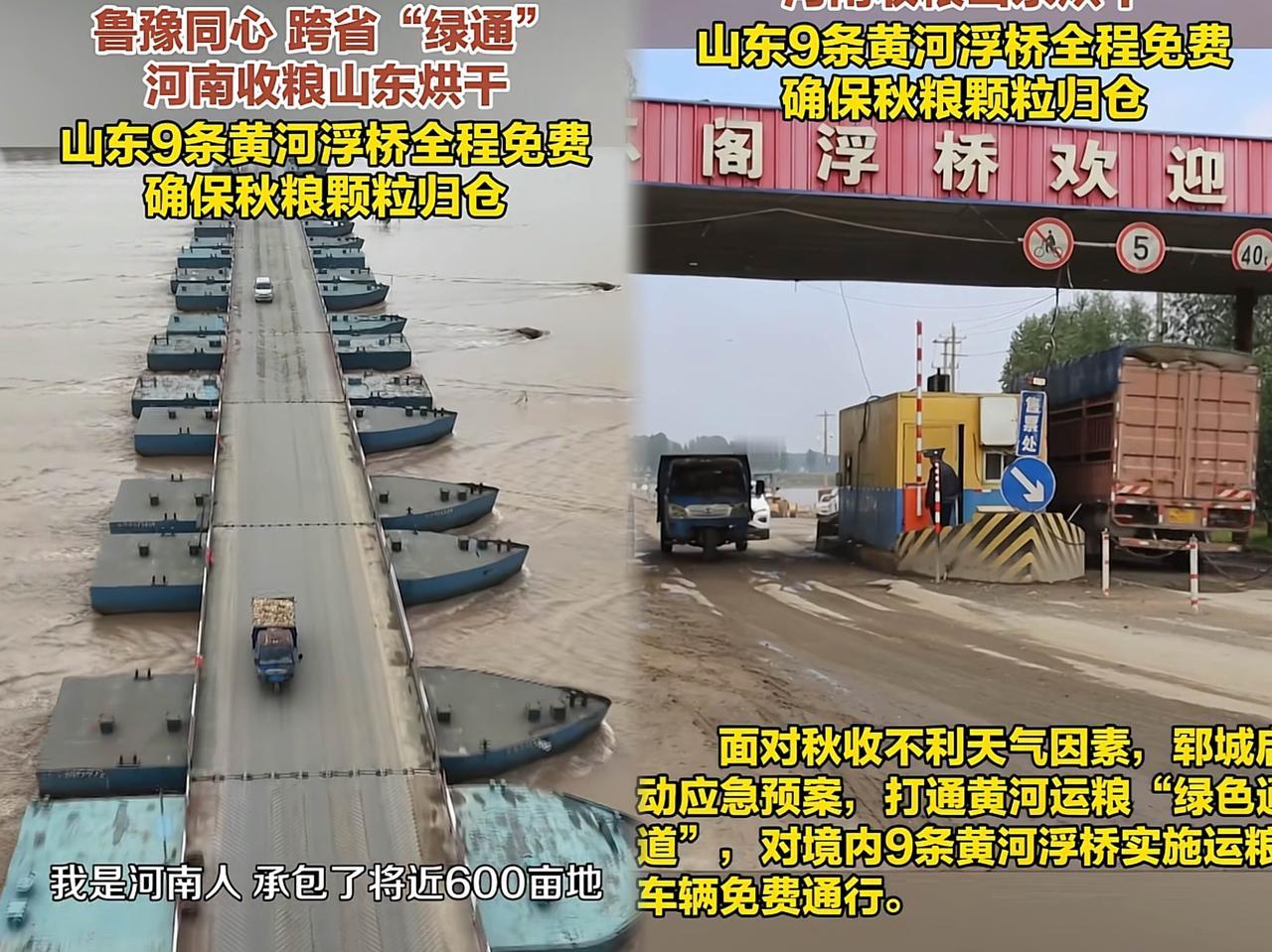 这下出名了不仅山东河南人民知道了，全中国人民都知道了，谁能想到，一次跨省救粮