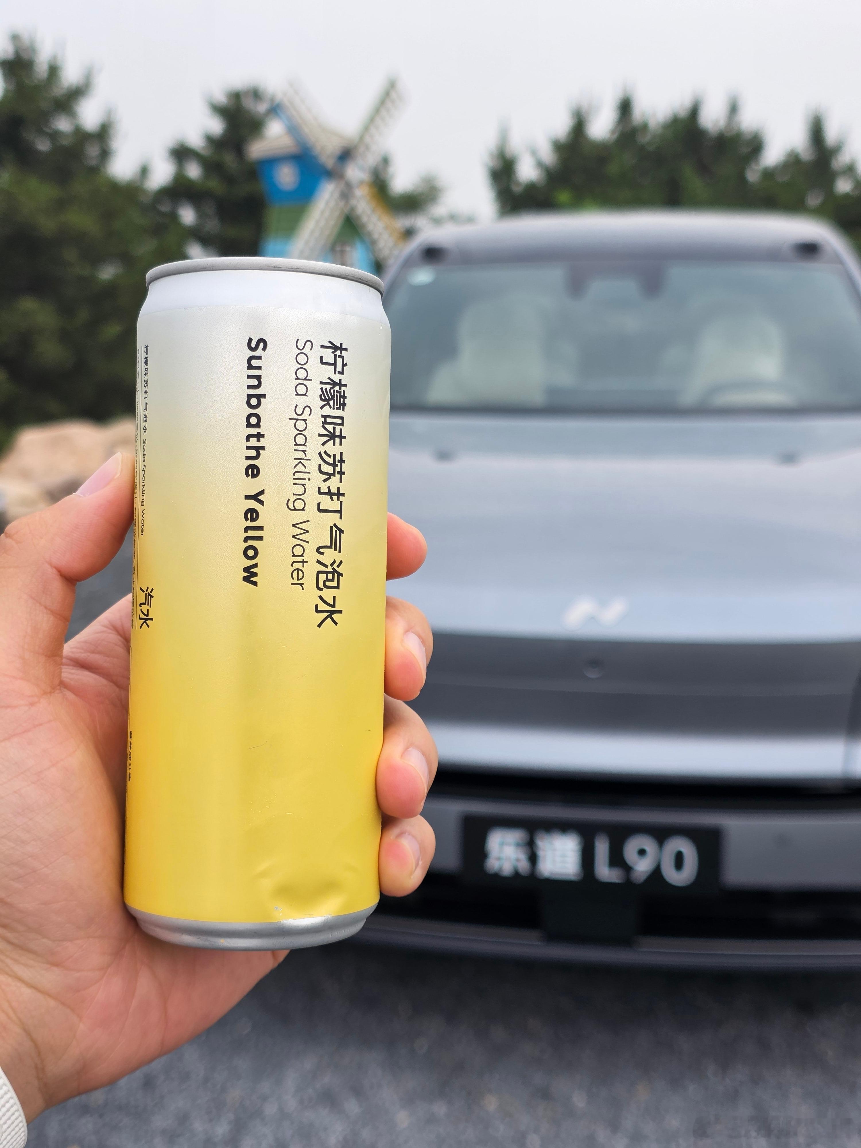 昨天去看了乐道L90的内饰，顺便了解了一下价格[doge]说实话，听完价格之后我