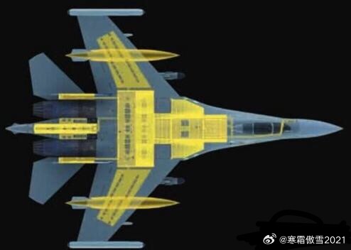 日耳曼赢学每天认识一件兵器简氏防务周刊鸡血打多了➡️Janes（图1）居然认为