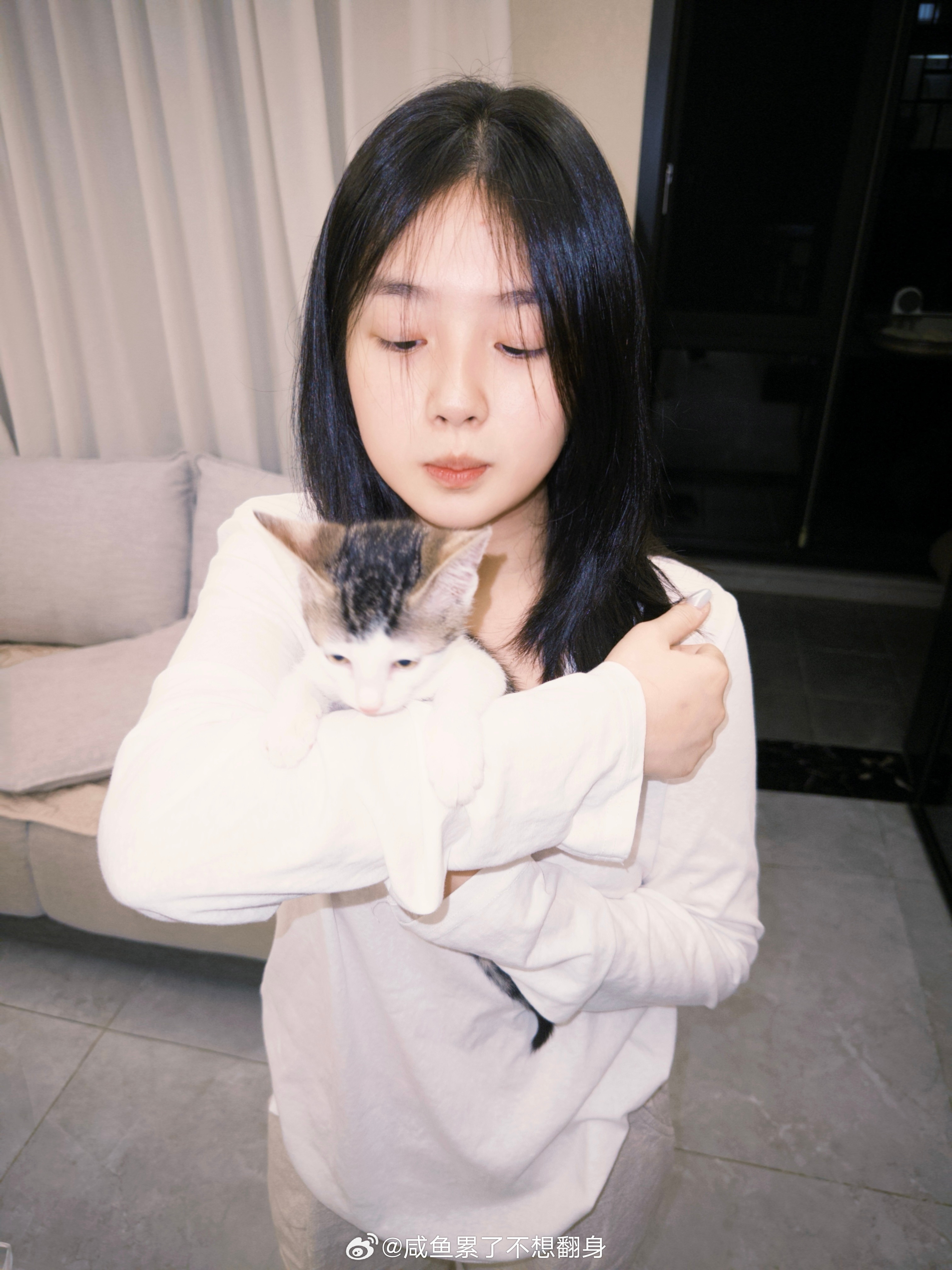 猫狗双全～～​​​
