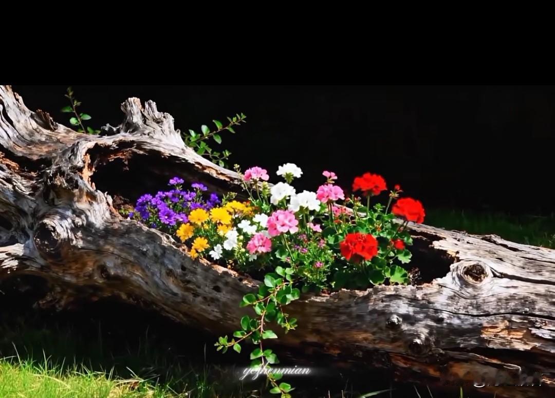 对一个孩子来说,什么是好的教育?1、言传身教。2、时刻准备回答她的疑惑，简单