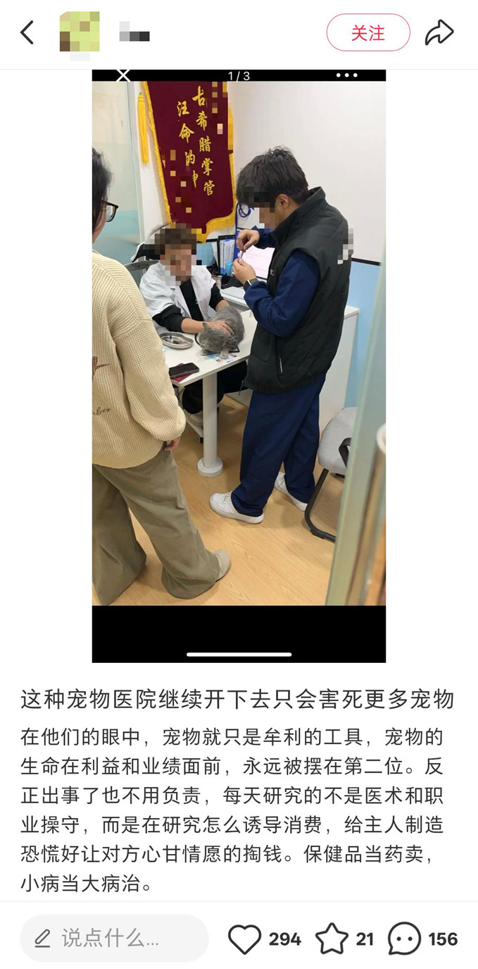 宠物看病也有标准了现在宠物看病水真的太深了，各种宠物医院鱼龙混杂，医疗的信息差普