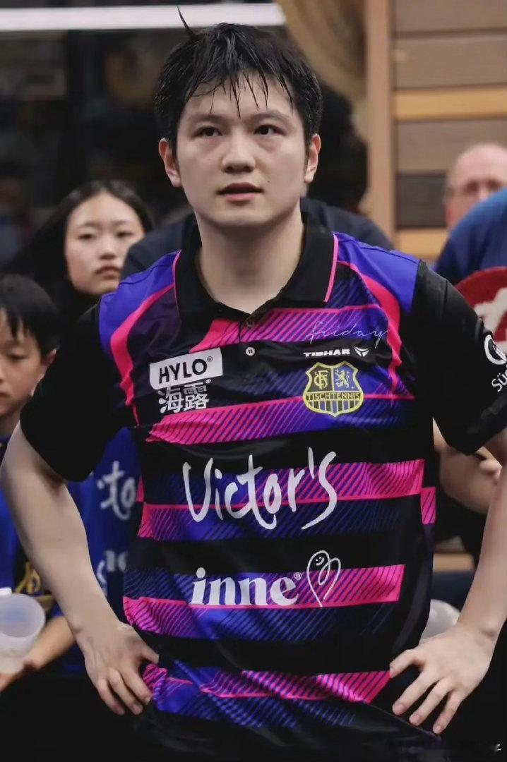 没想到！外交部欧洲司亲自宣传樊振东，这不是普通体育热度，是国家层面的认可，樊振东