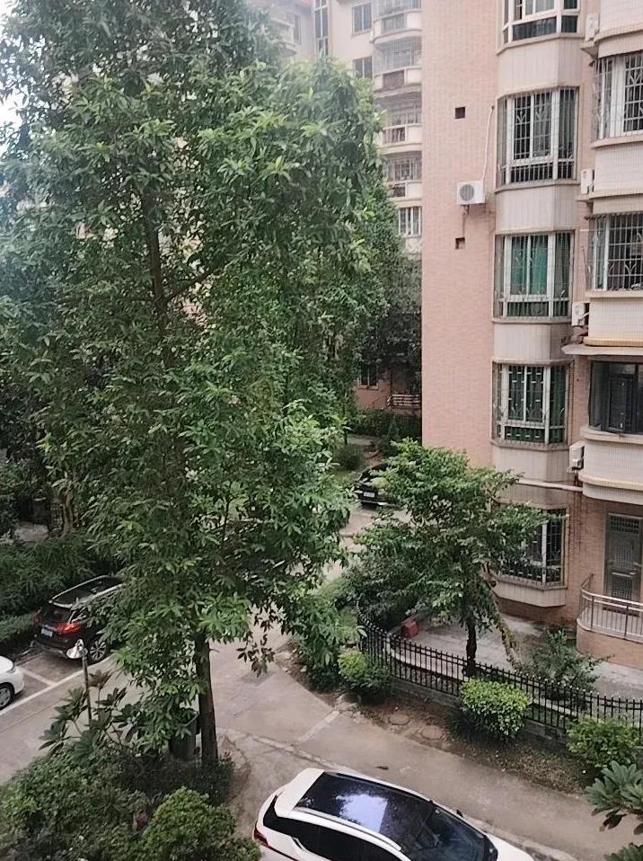 为啥没有台风呢？停课、停工的意义呢抢菜屯在家啥办一大早醒来发现昨晚根本就没