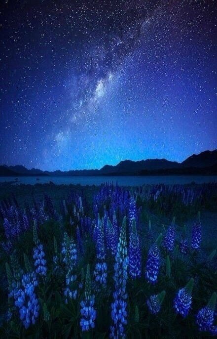 新西兰皇后镇，此生不可错过的地方。