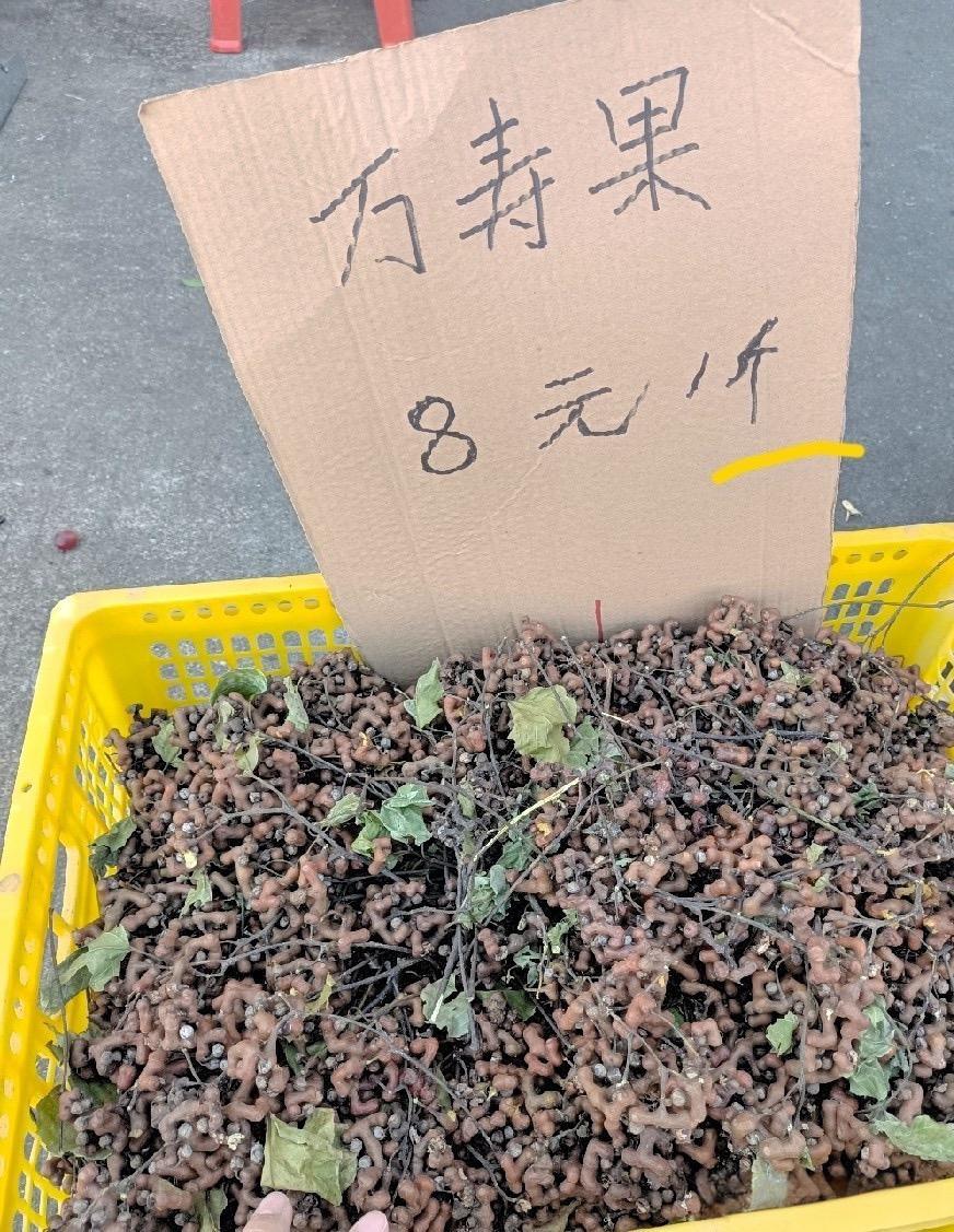 这也太贵了一个8块