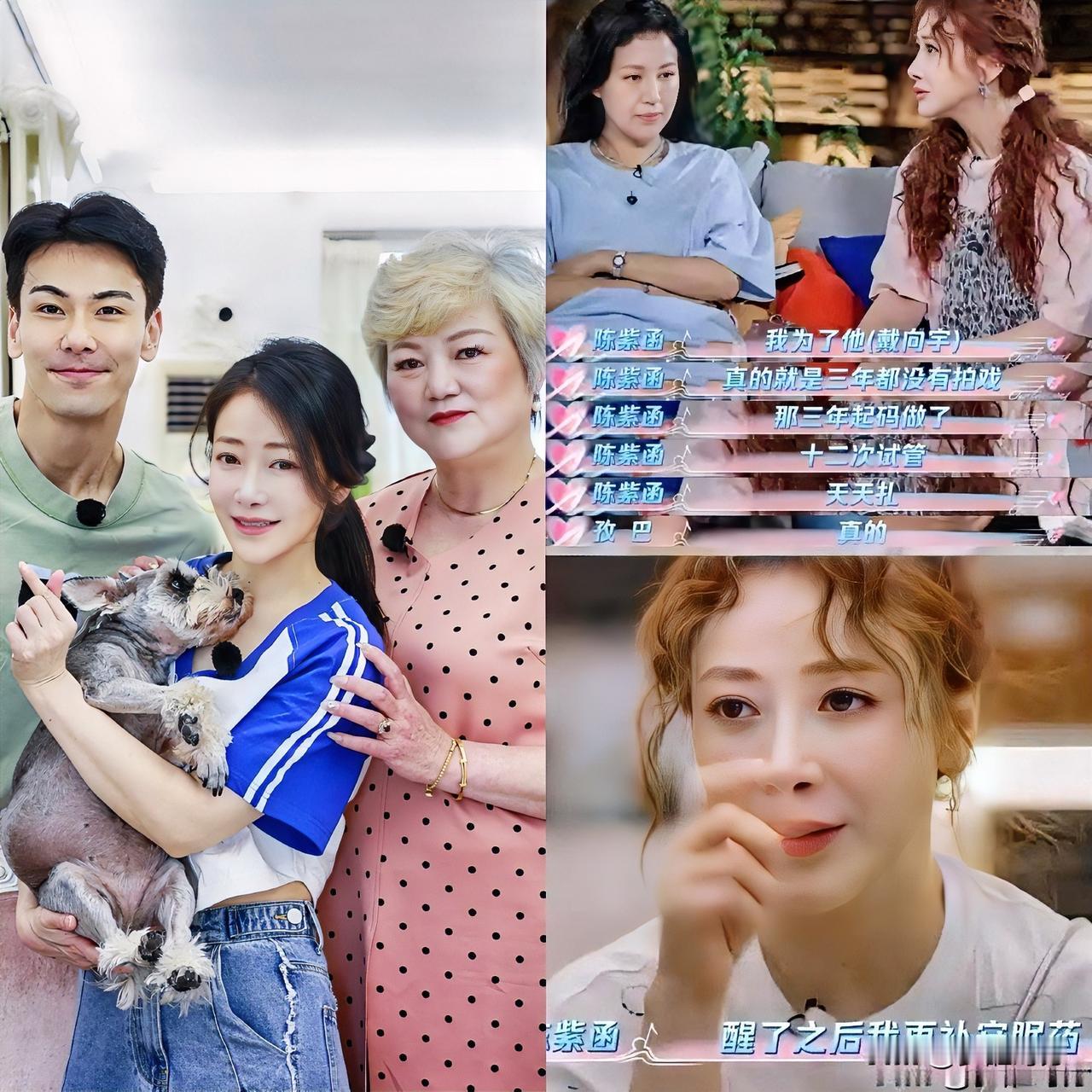 有点明白陈紫函为什么焦虑了不是因为年纪大，也不是夫妻感情不好，而是她老公的家