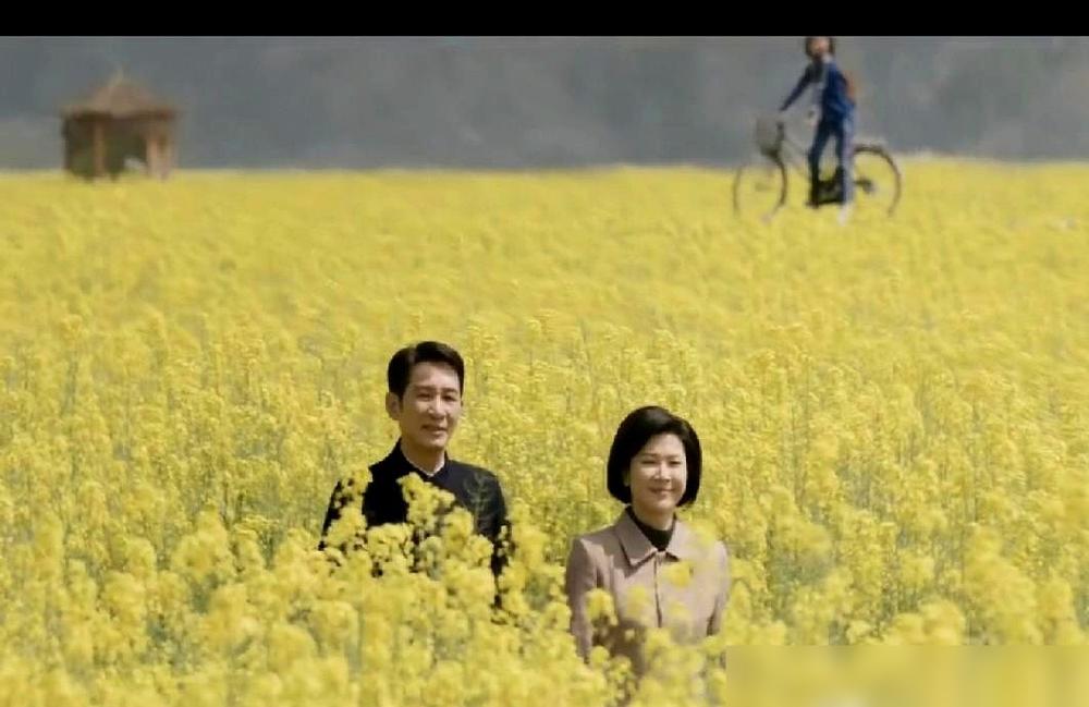 《我的山与海》这争议，真把观众惹毛了。有人喷剧情满是圣母病，逻辑硬伤离谱。