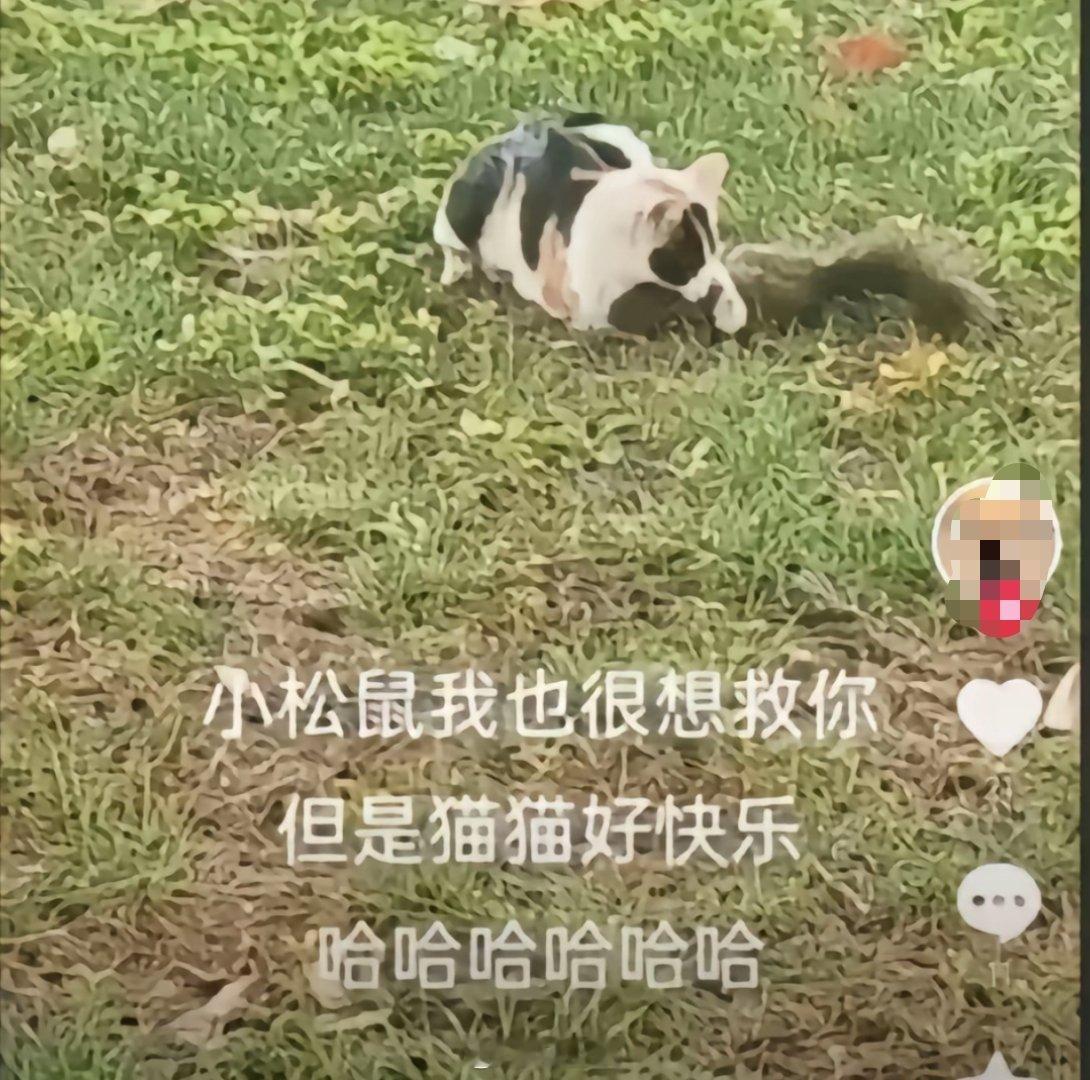 现在还快乐吗？[doge][doge][doge]​​​