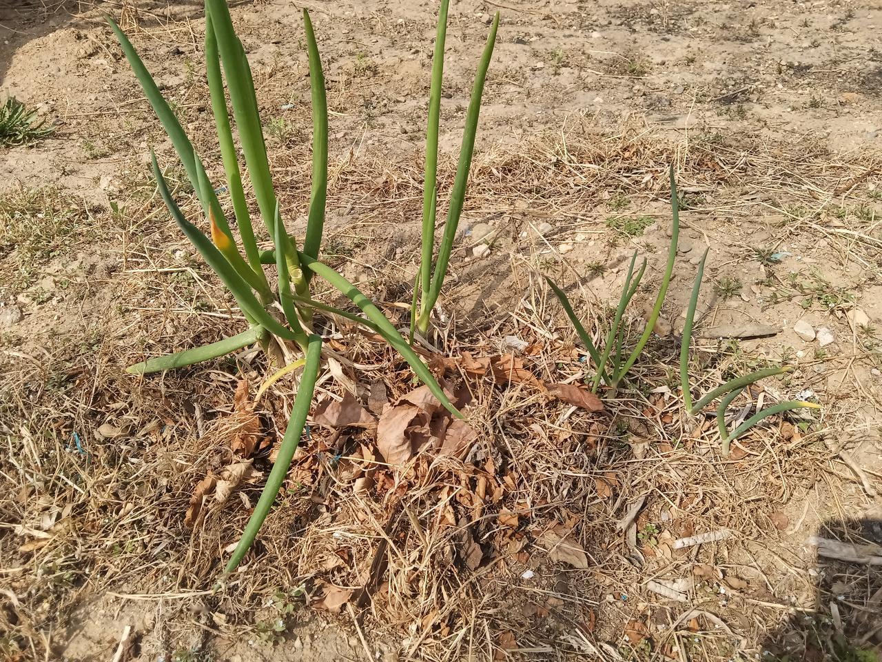 有个已婚男挺猥琐的，虽然是邻居，但是他却觊觎未婚的我，大概是觉得欺负未婚无老公无