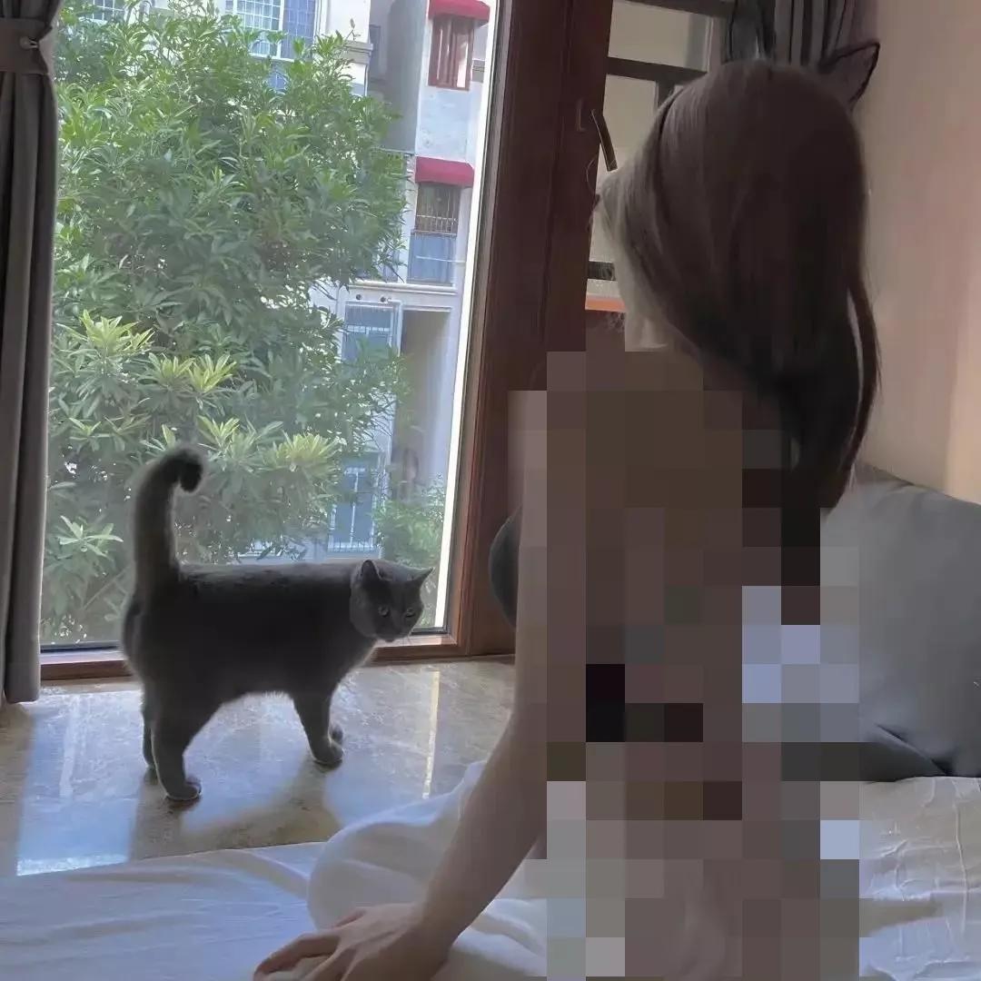 猫咪好奇地望着窗外，仿佛在等待着什么猫咪猫咪萌萌哒猫咪萌照猫咪ø呆萌猫咪