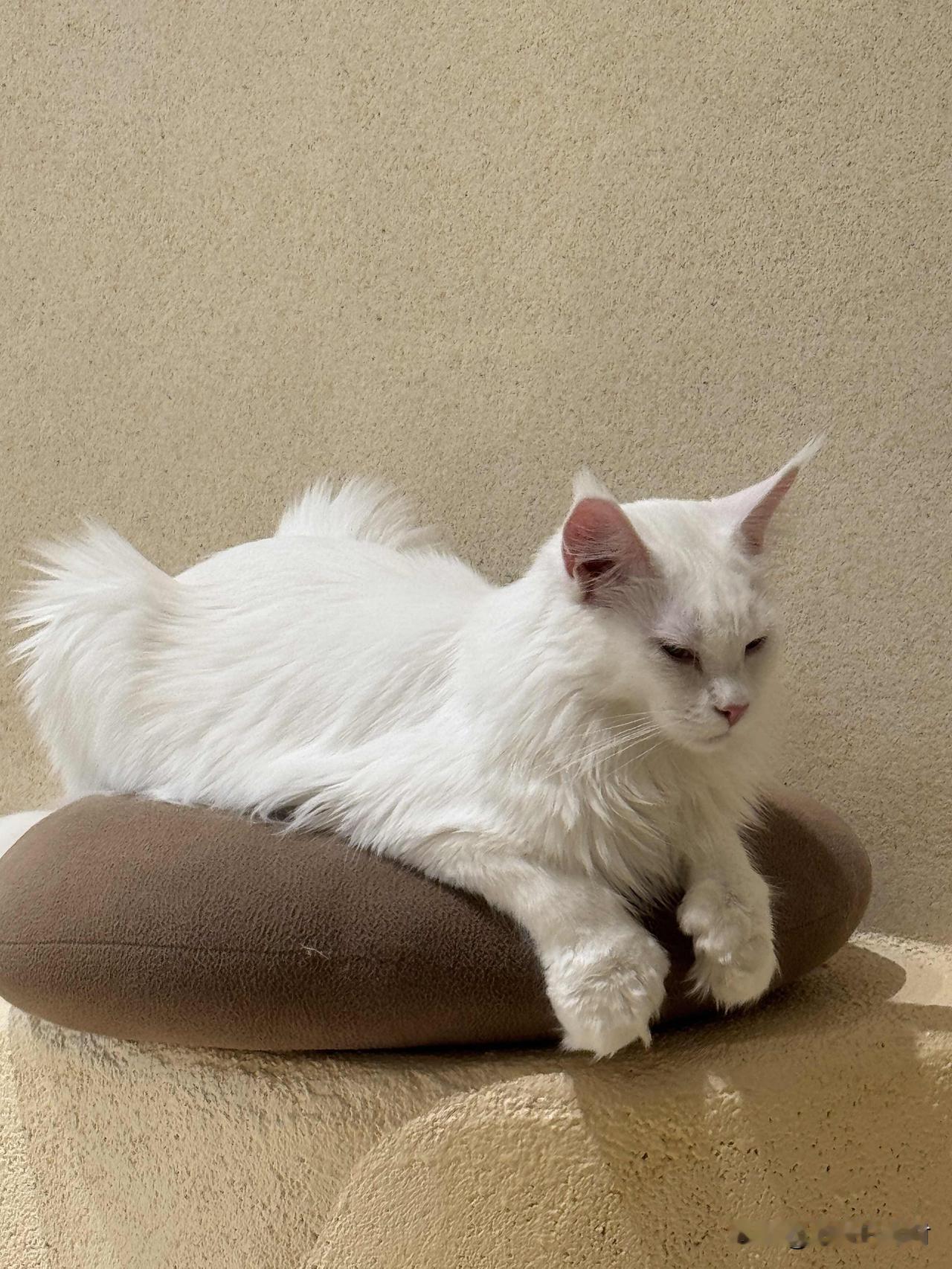 1. 不管退休金多还是少，都别出去打工啦。50岁退休的女性，大多之前干的是体力活