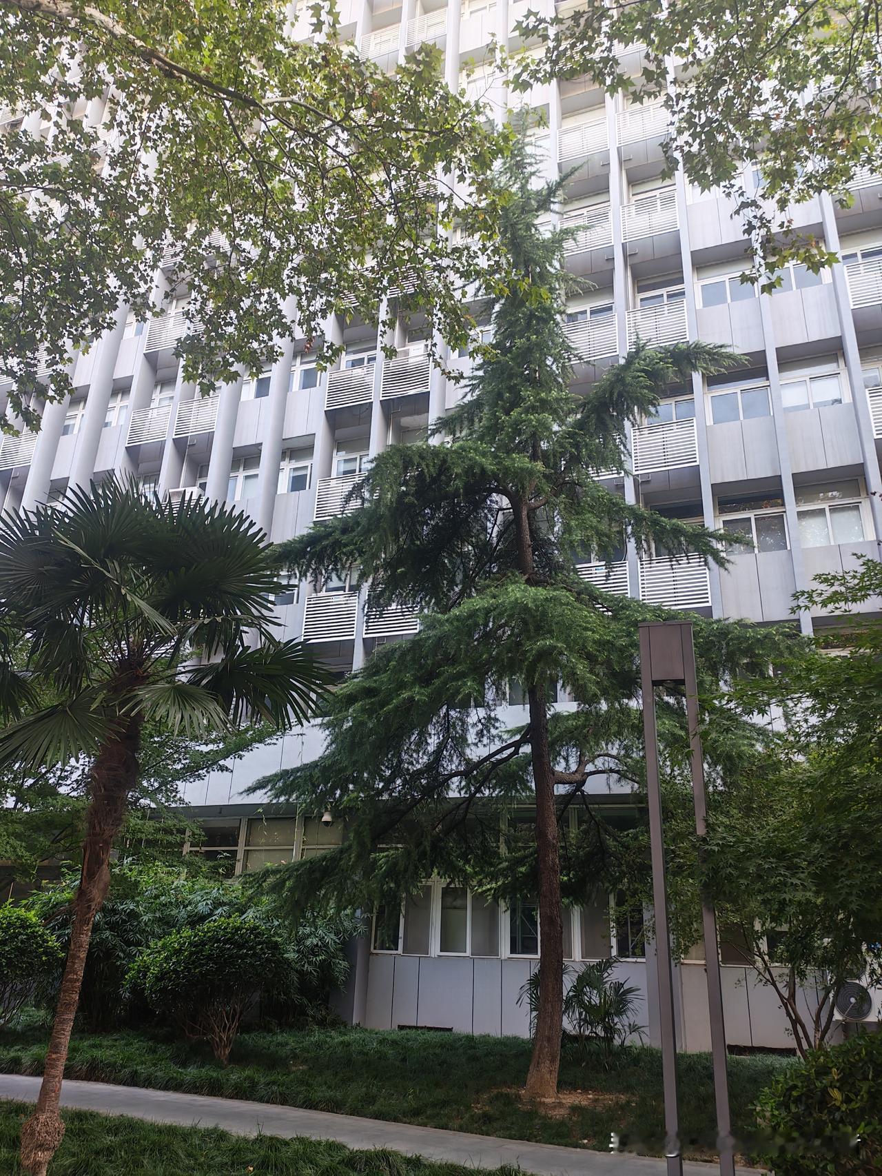 表弟快40岁，突然要换房，我听完替他捏把汗。他准备把盘龙城110平的房子卖掉