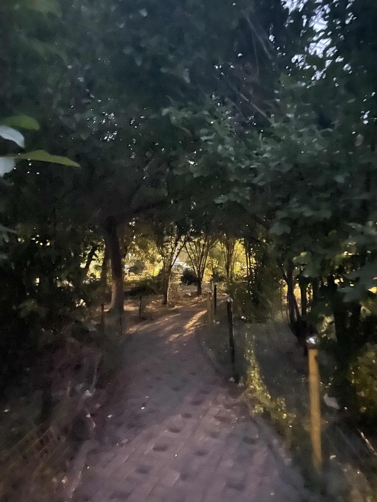 为什么晚年夫妻相守多半生，退休却分道扬镳了，或者虽然没有分手，却彼此如同路人，各