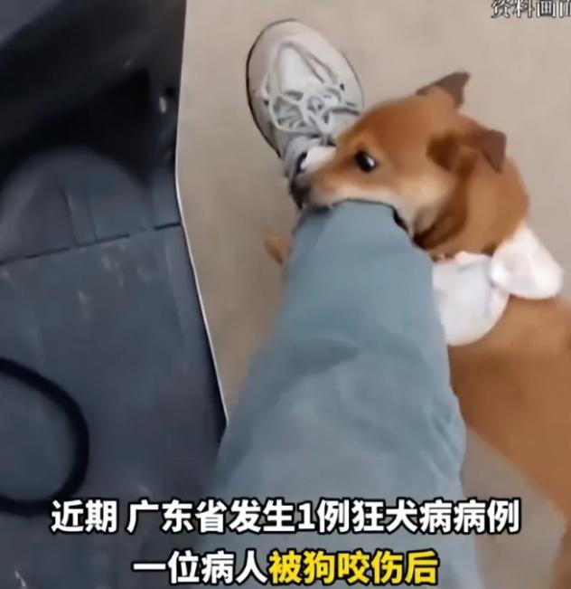 悲剧还是发生了！据大象新闻6月22日报道，广东，一男子被狗咬伤后，却迟迟不肯去医