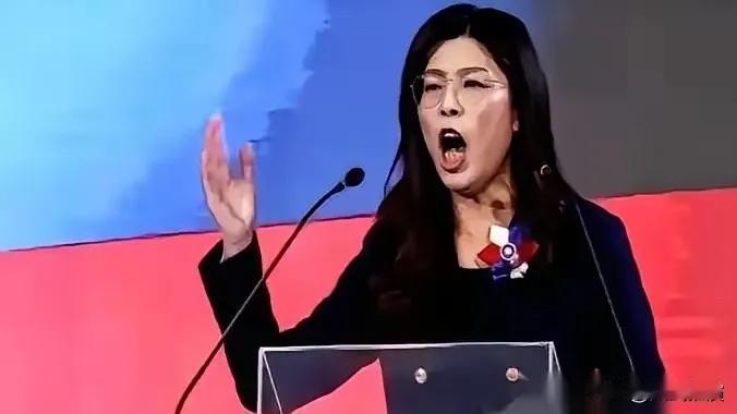 全场都安静了。那个叫郑丽文的女人，直接把话说透了。她说“回家”这两个字的时