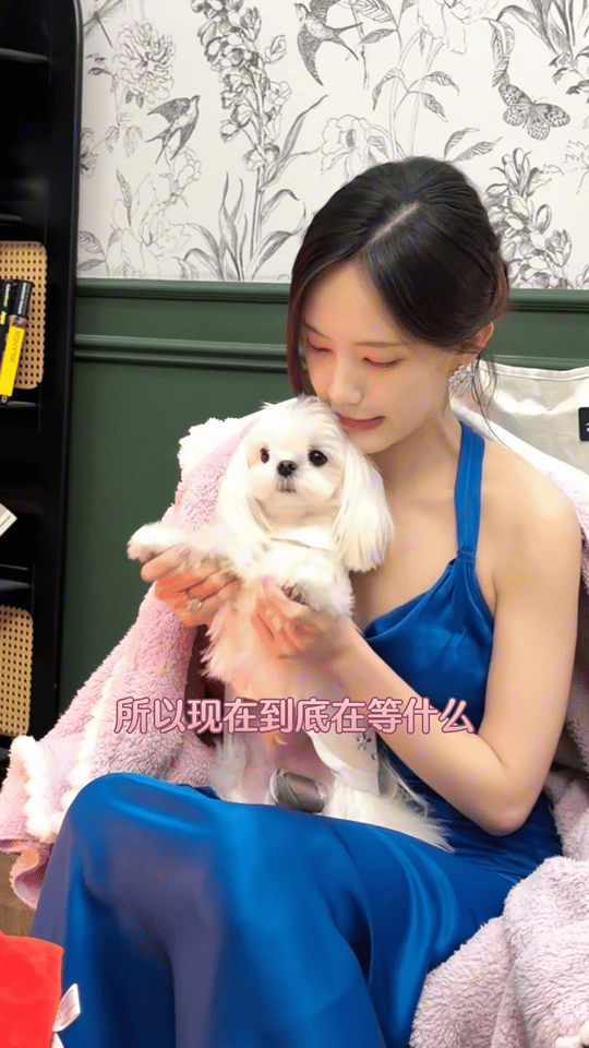 李一桐的狗出道拍戏了，肉少太萌了，期待我们肉肉的荧幕首秀