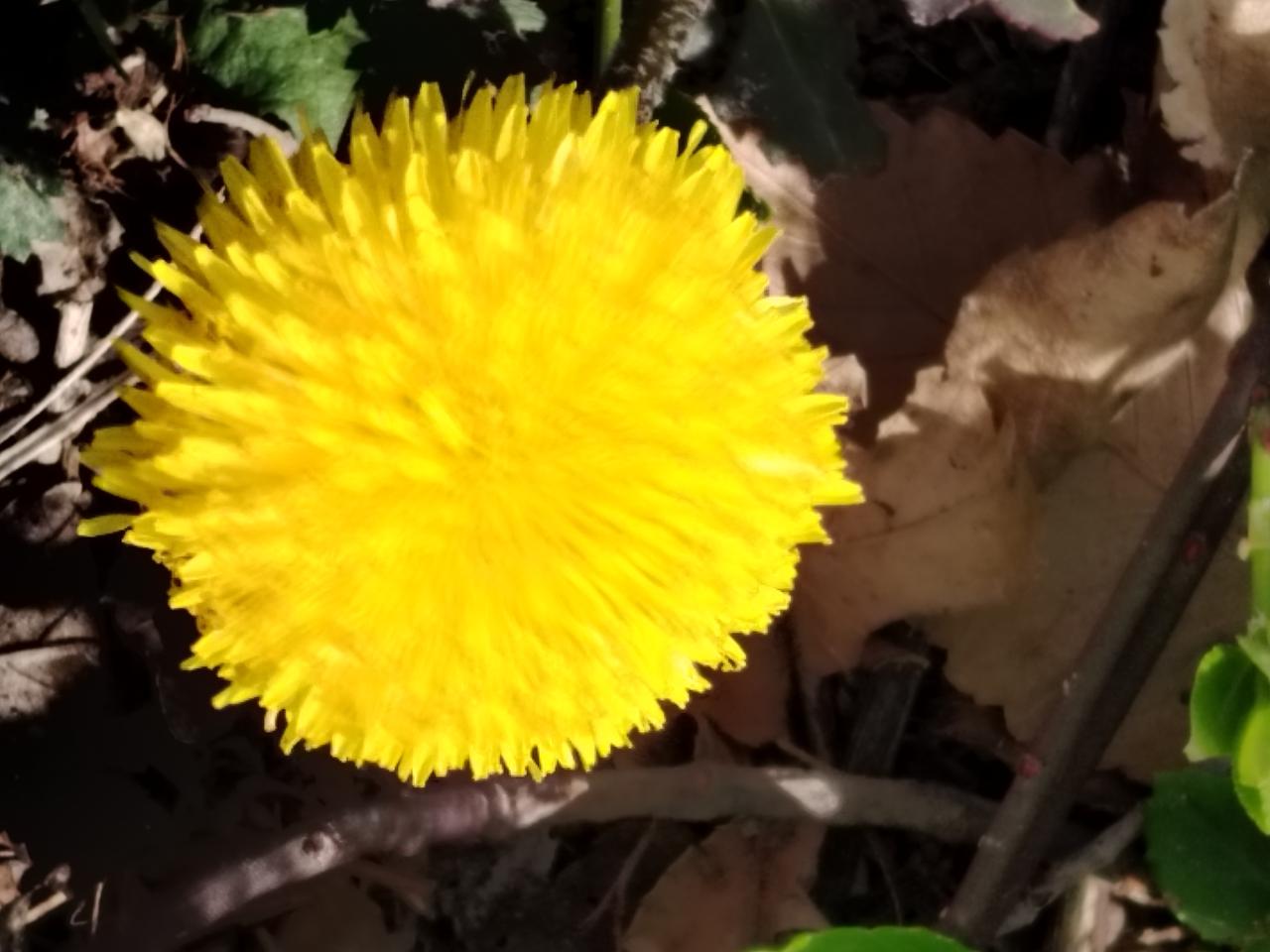 职场，能忍，才能进步！记得当年刚调入教育局不久，全局开展大调研，分成五组对企业