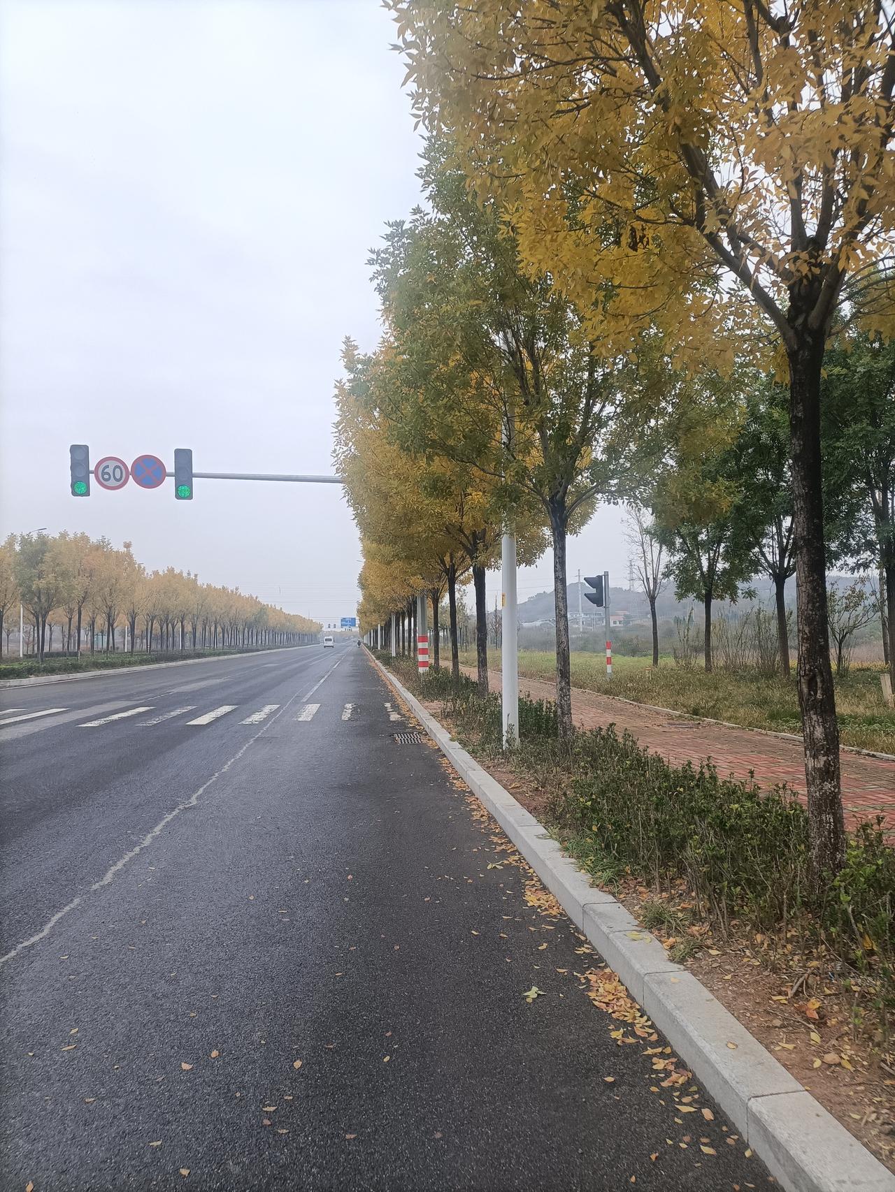 恃德者昌，恃力者亡商鞅在变法成功后，被封为商君，大权在握。他处罚了反对变法