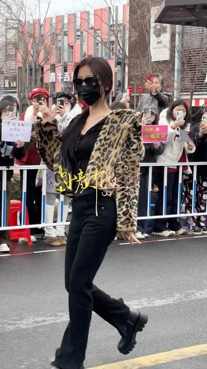 美人虞有大长腿