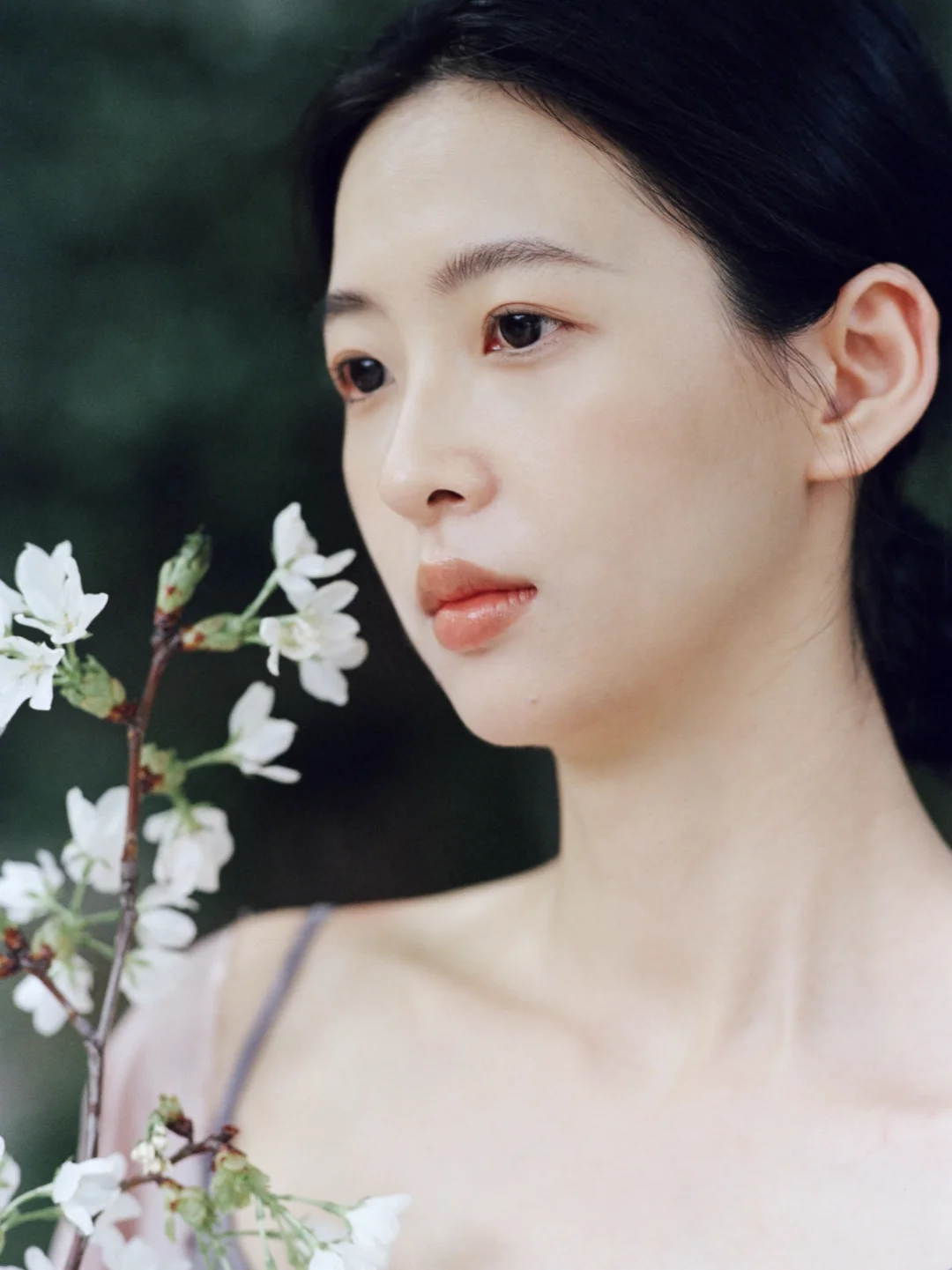 我拍的东方美人。